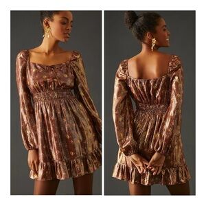 PAIGE | Fairy Coquette Noah Silk Floral Shimmery Metallic Floral Mini Dress | XS